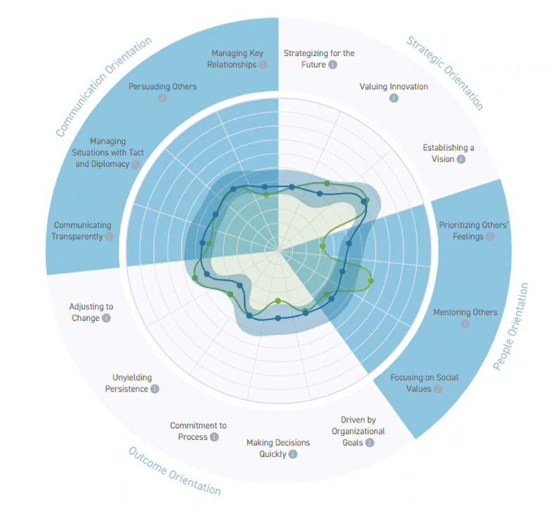 Spider map of fifteen leadership competencies in four orientations: strategic, people, outcome and communication. The people and communication orientations are shaded.